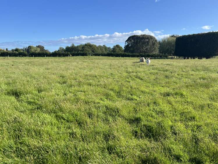 5 Ackers Road New River Ferry_15