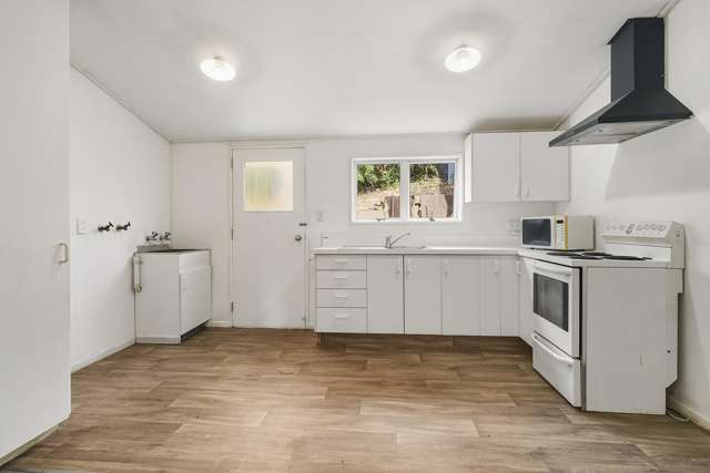 145 Carroll Street Dunedin Central_3