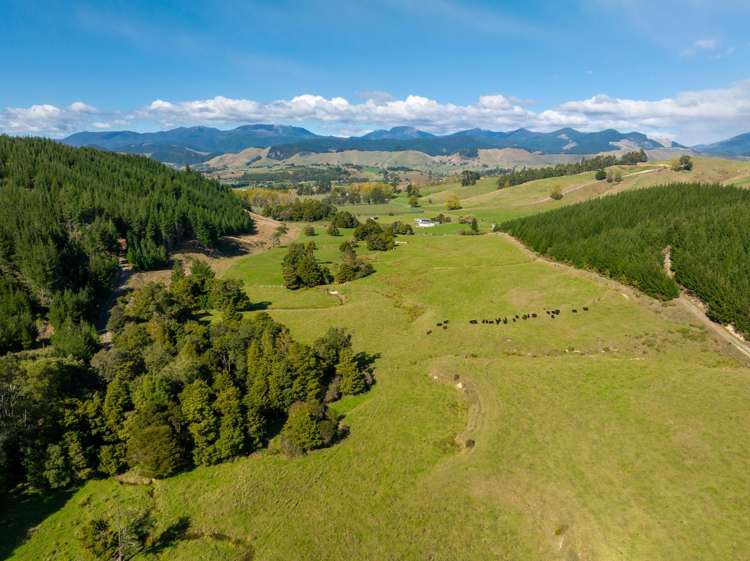 229 Teapot Valley Road Brightwater_4