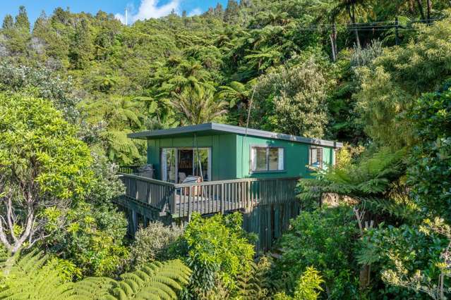 Lot Lot 1/- Blackwood Bay Queen Charlotte Sound_3