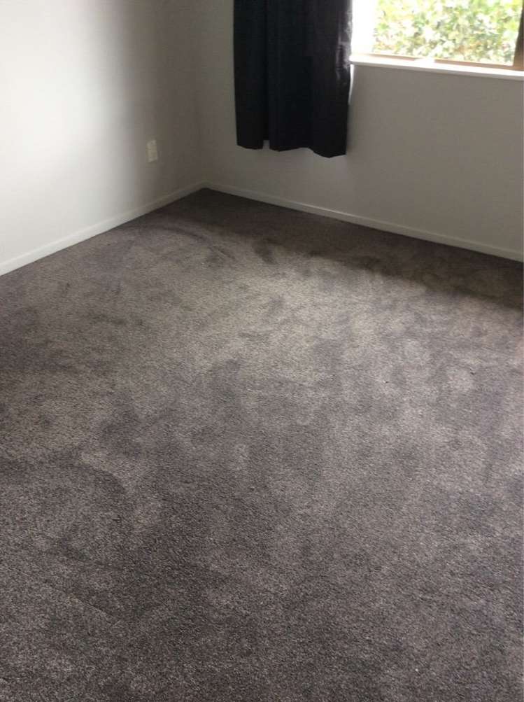 141c Maungatapu Road Maungatapu_5