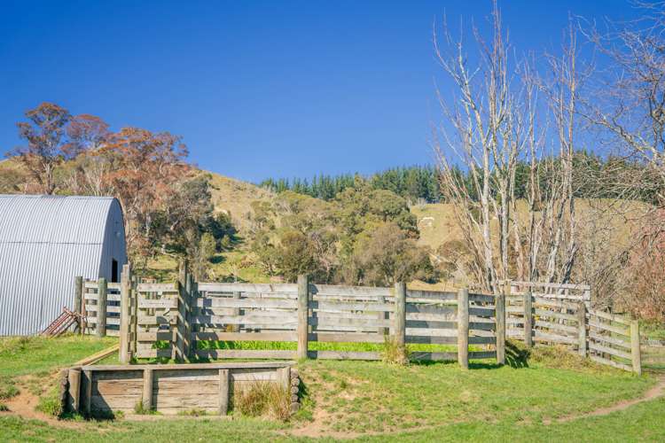 232 Kotare Road Ruakituri_24