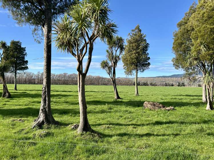 1807 Kahutara Road Kahutara_6