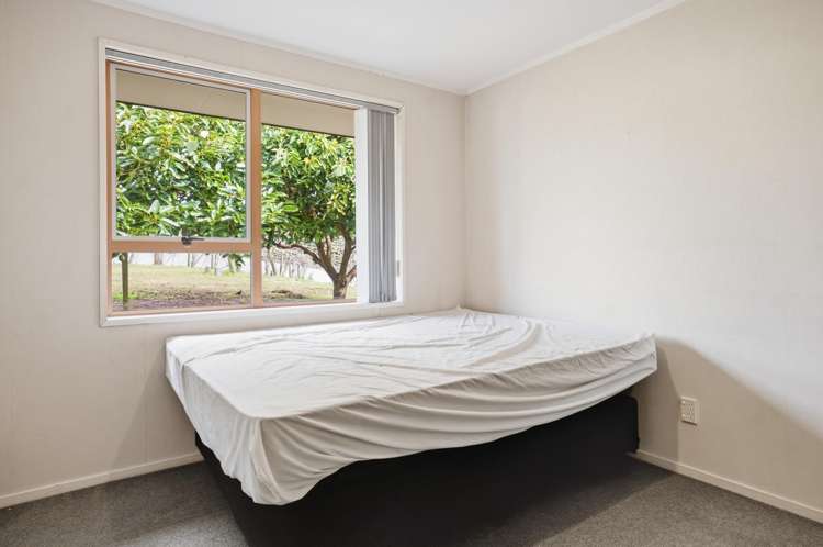 364 Te Matai Road Te Puke_25