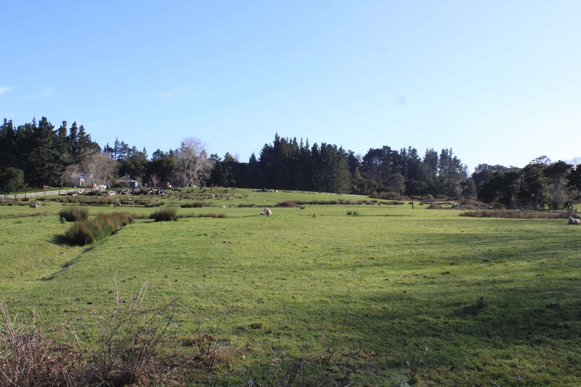 202 Pine Valley Road Dairy Flat_0