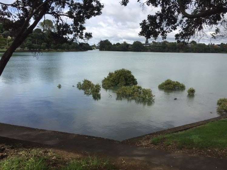 17a Cleary Road Panmure_6