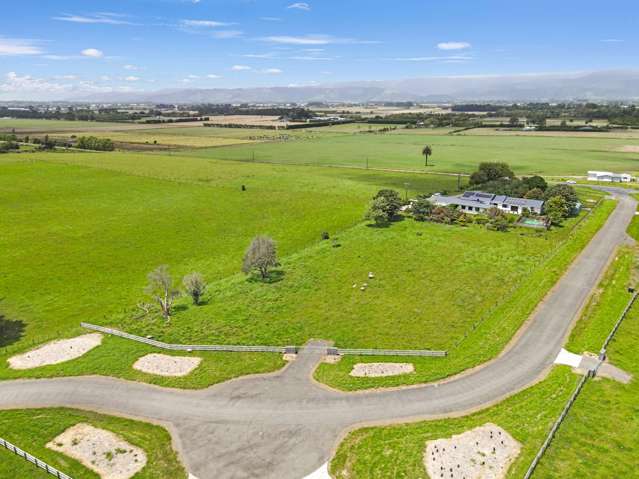 20 Whio Grove Hokio Beach_1