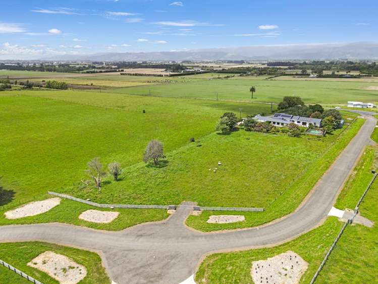 20 Whio Grove Hokio Beach_1