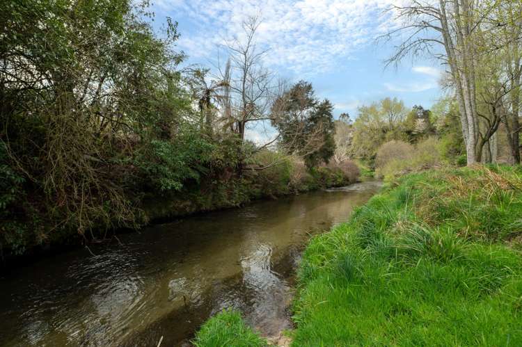 1039 Paradise Valley Road Ngongotaha Valley_39