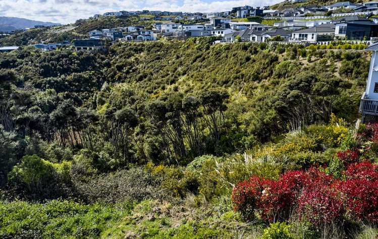 9 Polestar Lane Whitby_15