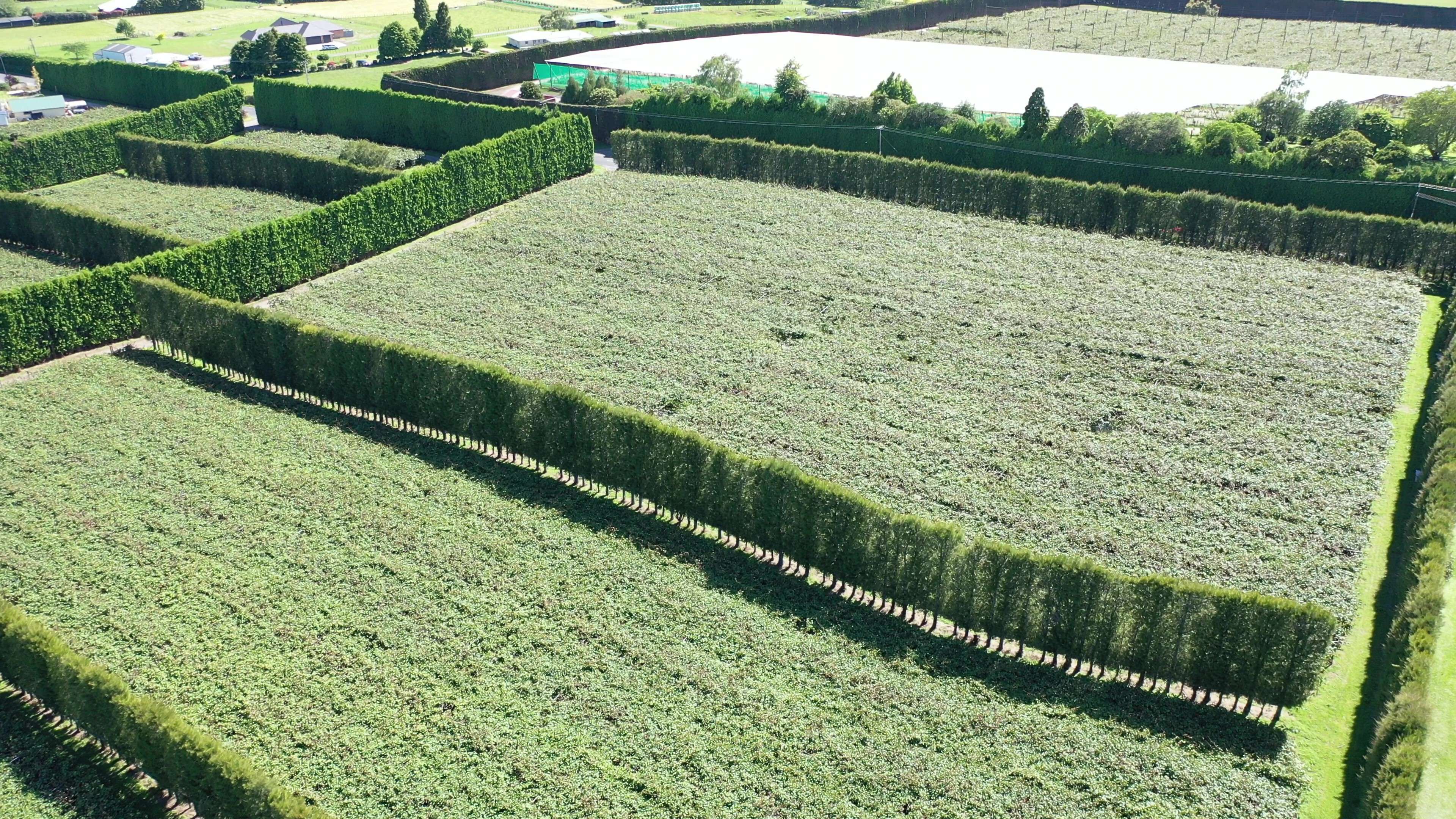 8 Jacks Lane Oropi Tauranga Rural Property For Sale One Roof