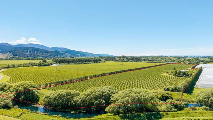 2124 State Highway 1 Spring Creek_35