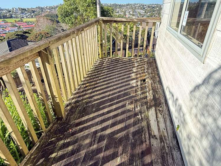 4/102B Manuka Road_5
