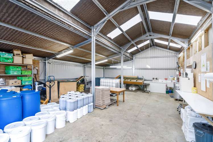 18 Cooper Road Maungatapere_7