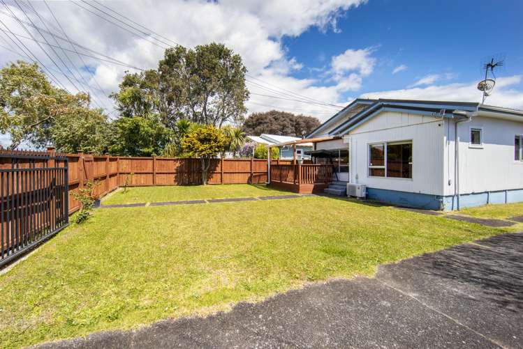 17A Arran Street Avondale_13