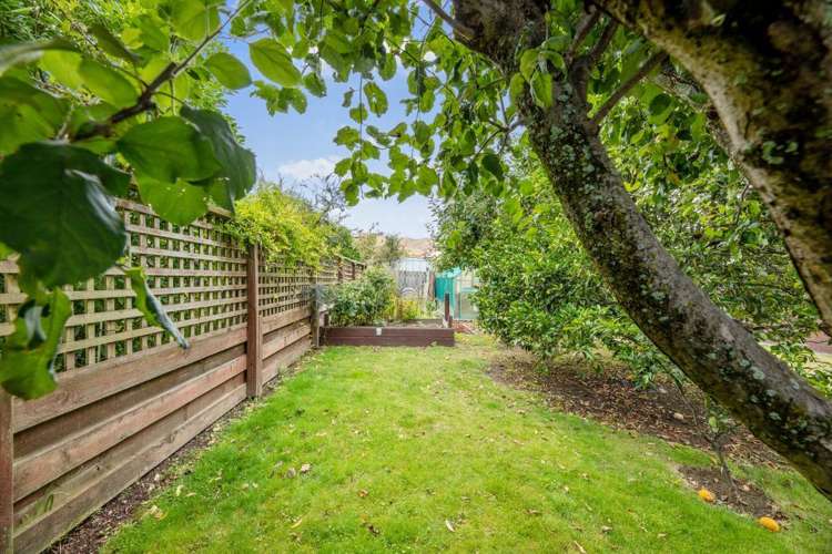 5 Regent Place Witherlea_24