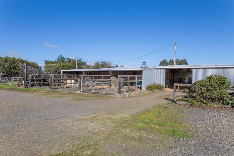 11 Tipapakuku Road Dannevirke_14