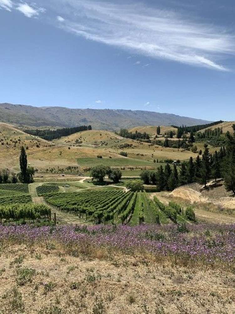 29 McFelin Road Cromwell_2