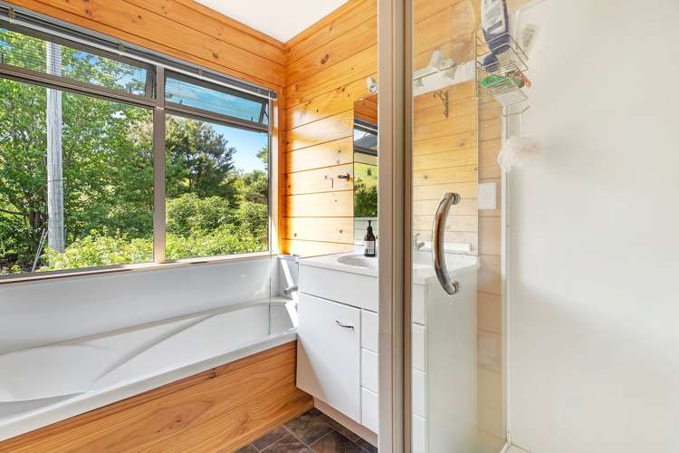 2926 SH25 Tairua Whitianga HWY Whitianga_12