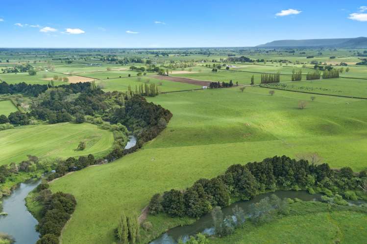 72 Harding Road Turangaomoana_18