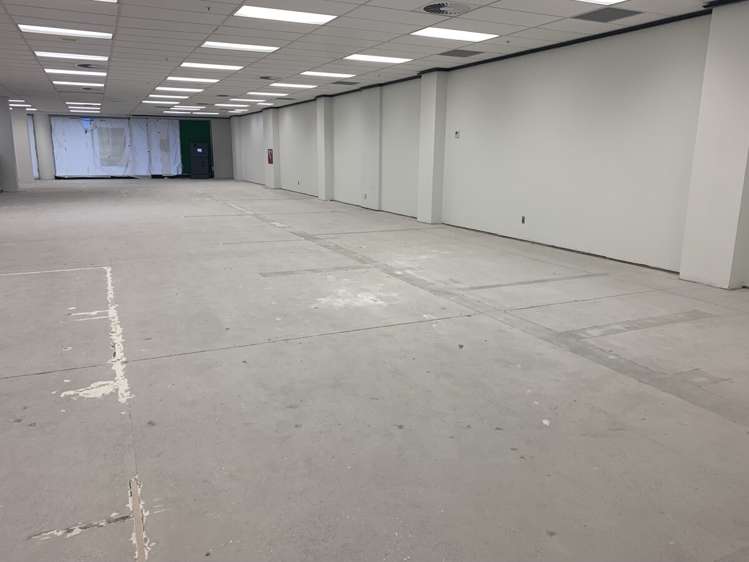 65 Clyde Road Browns Bay_9