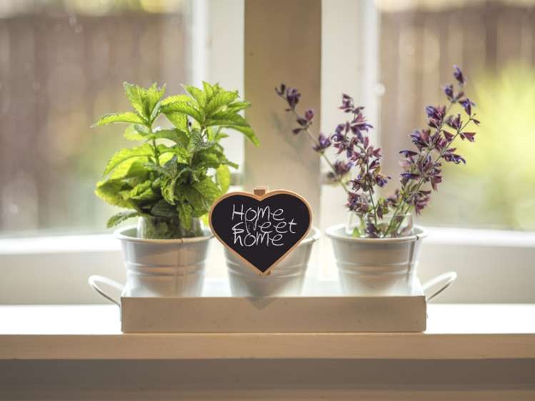 104a Hampden Street Picton_5