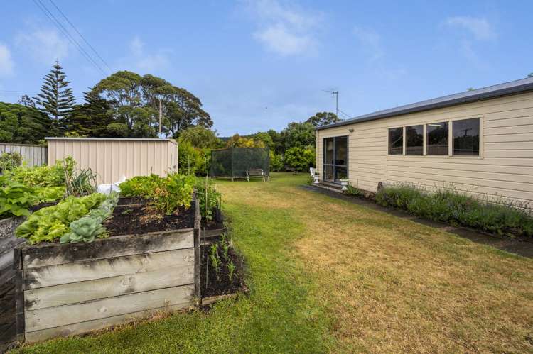 202 Whirinaki Road Eskdale_17
