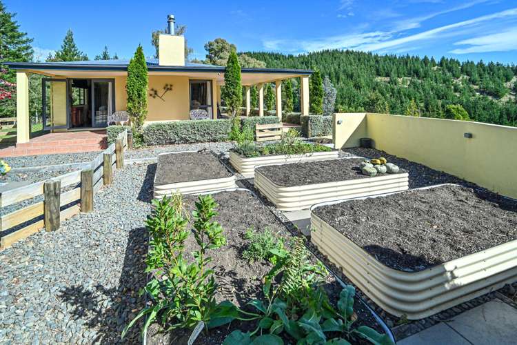 1544 Kahuranaki Road Kahuranaki_30