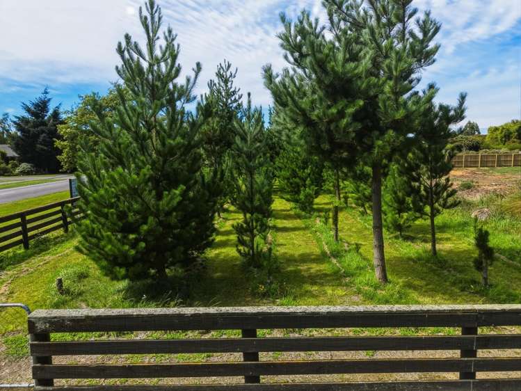 31 Tramway Road Kirwee_6