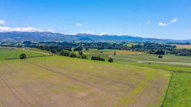 375 Snee Road Takapau_4