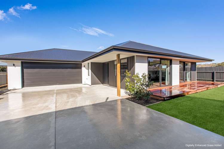 34 Frank Street Gore_5