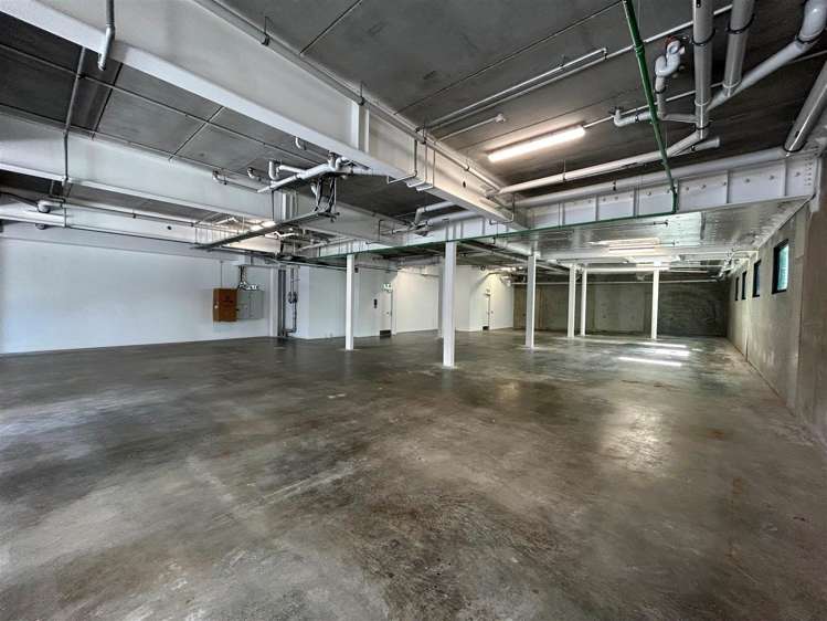 8 Rose Road Grey Lynn_5