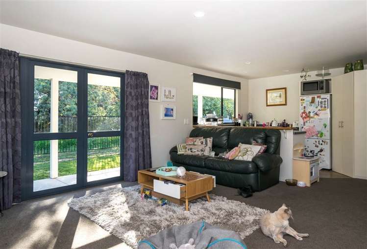 42a Cashmere Grove Witherlea_4