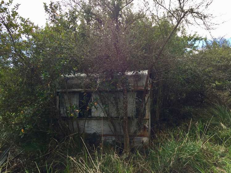 20 Horncastle Crescent Kahurangi National Park_2