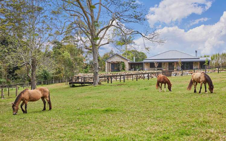 204 Main Western Road Tamborine Mountain_37