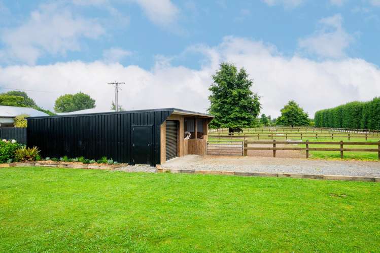 36 Bell Road Matawhero_8