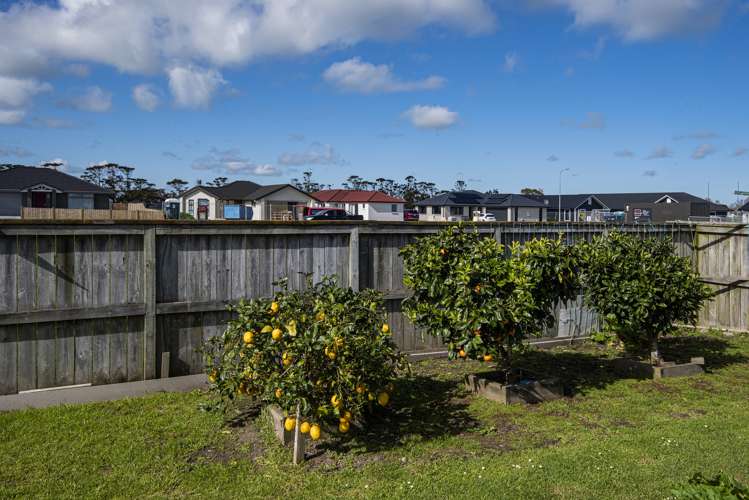 25 Phoenix Place Dargaville_13