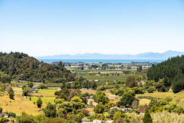 214 Brooklyn Valley Road Motueka_1