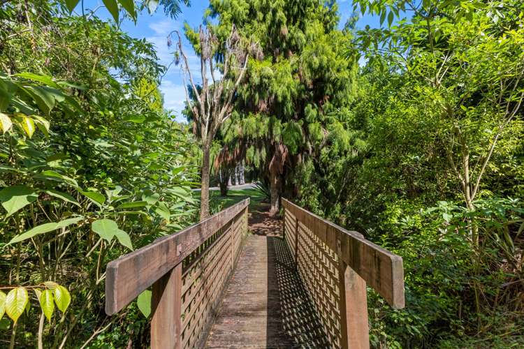 22 Access Heights Kerikeri_11