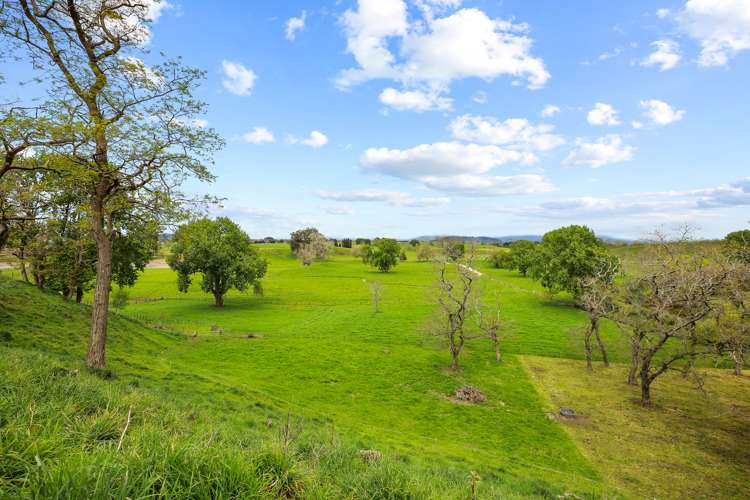 292 Arapuni Road Kihikihi_48