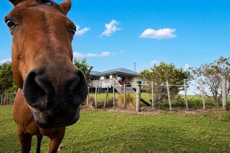 590 Ngunguru Ford Road Kiripaka_14