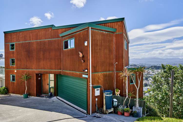 2 Pearce Street Vogeltown_1