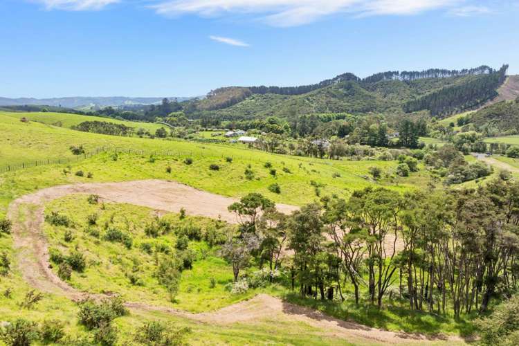 357 Ness Valley Road Clevedon_6