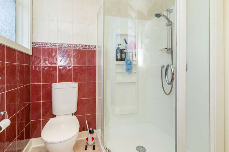 21 Hillary Street Liberton_34