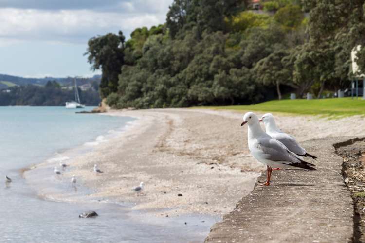 1/14 Clipper Place Cockle Bay_18