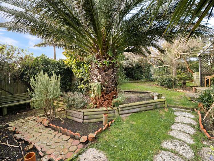 23 Minto Street Andersons Bay_19