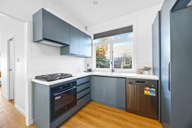 166 Lyttelton Street Spreydon_1