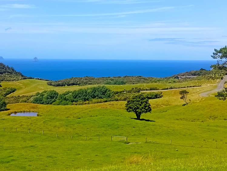 Address withheld Langs Beach_46