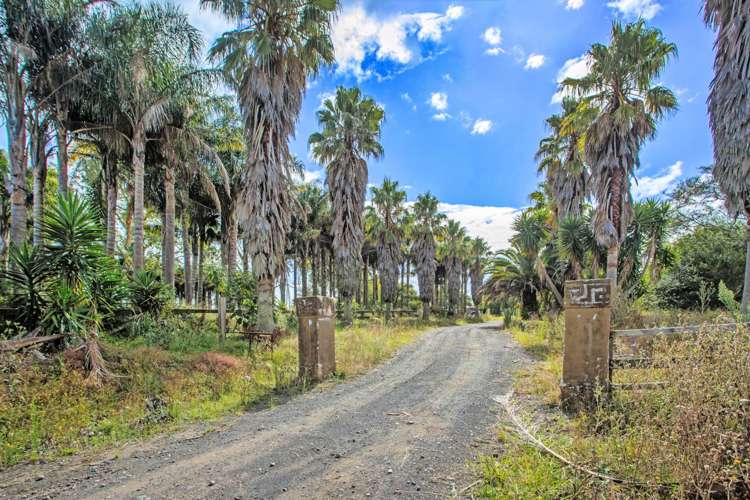 383 Karaka Road Karaka_6