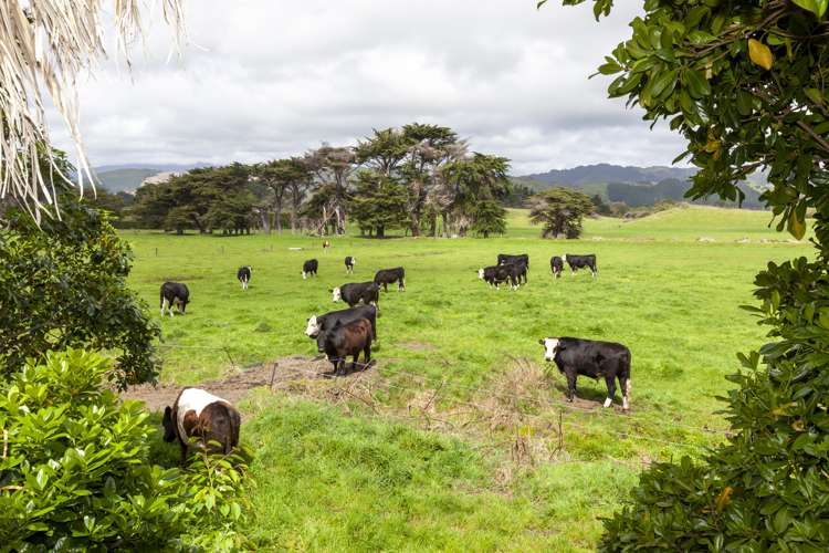 78 The Drive Paraparaumu Beach_2